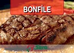 Bonfile