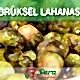 Brüksel Lahanası