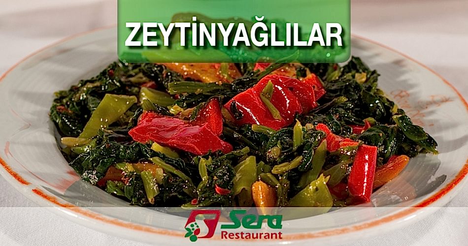 Zeytinyağlılar