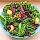 Salata