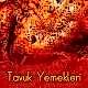 Tavuk Yemekleri